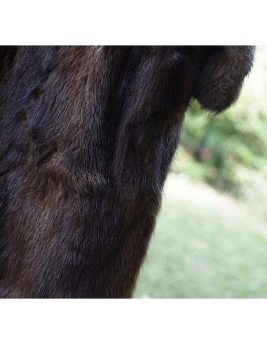 PELLICCIA DI ONDATRA VERA Tg.46