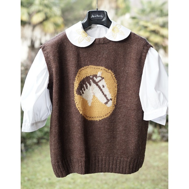 GILET MAGLIA MARRONE  tg 44  "Cavallo"