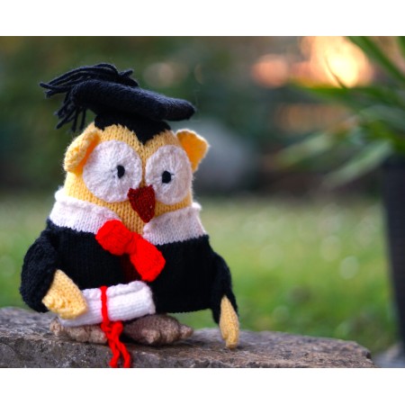 SIMPATICO GUFETTO REALIZZATO A MANO AI FERRI LAUREA